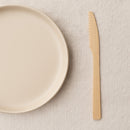 REGENT DISPOSABLE BAMBOO KNIVES 12PK, 170MM