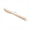 REGENT DISPOSABLE BAMBOO KNIVES 12PK, 170MM