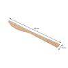 REGENT DISPOSABLE BAMBOO KNIVES 12PK, 170MM
