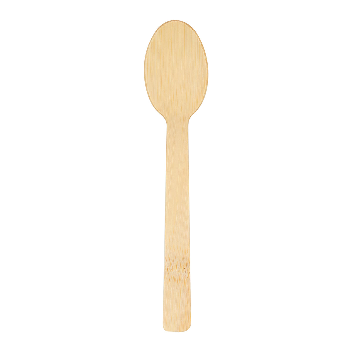 REGENT DISPOSABLE BAMBOO SPOONS 12PK, 170MM