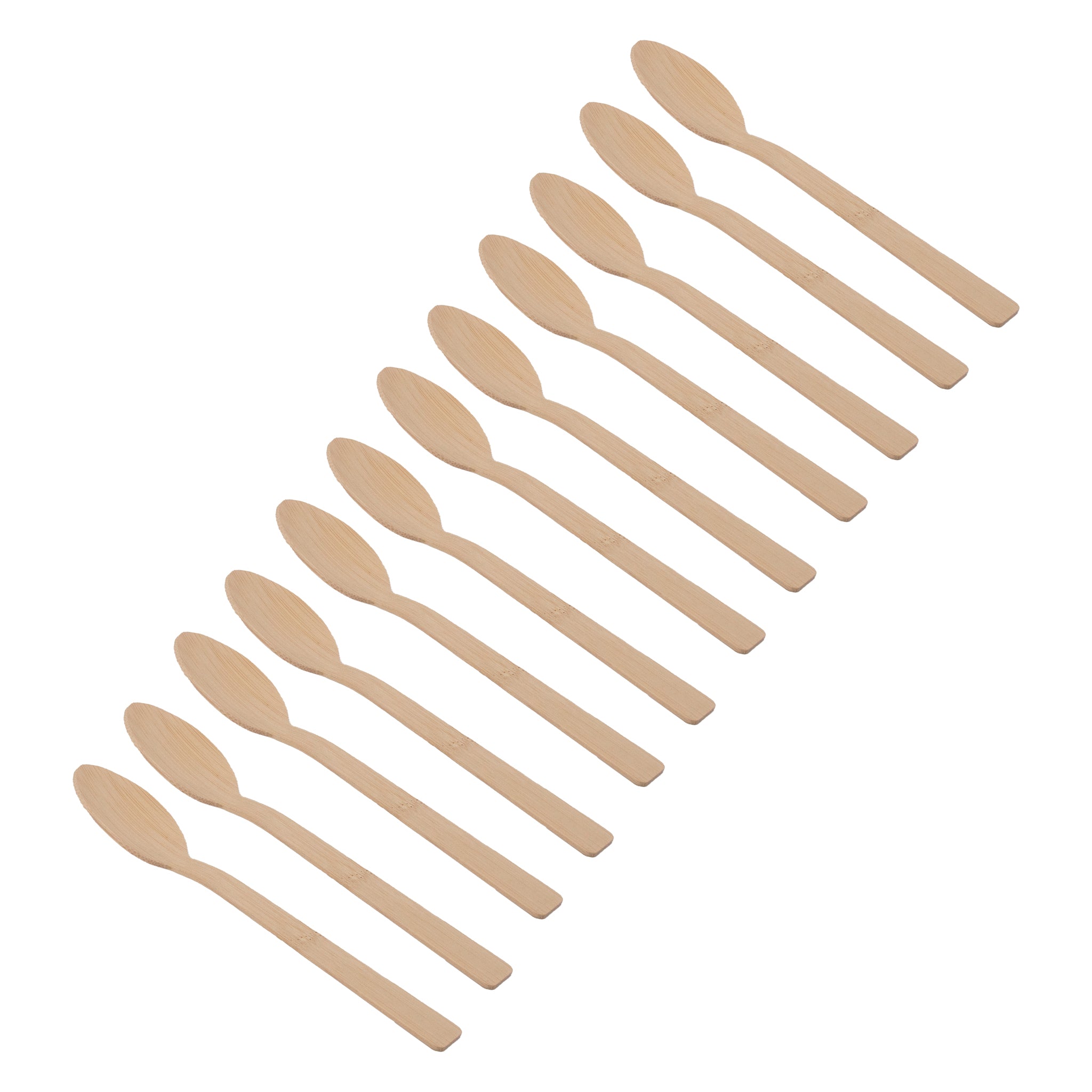 REGENT DISPOSABLE BAMBOO SPOONS 12PK, 170MM
