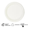 REGENT SUGARCANE FIBRE PLATES 20PK, 260MM