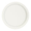 REGENT SUGARCANE FIBRE PLATES 20PK, 260MM