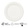 REGENT SUGARCANE FIBRE SIDE PLATES 20PK, 180MM