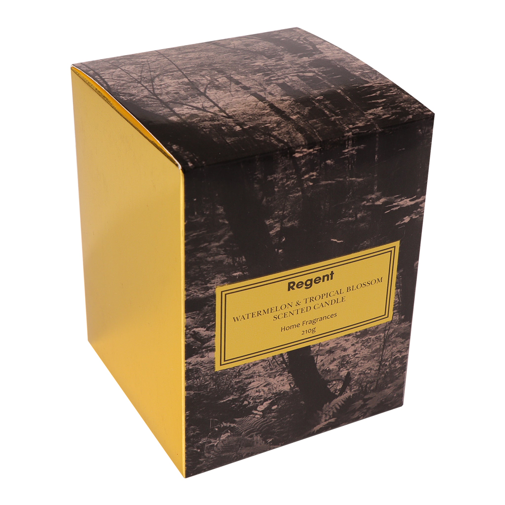 REGENT SCENTED CANDLE BLACK JAR LARGE, WATERMELON & TROPICAL BLOSSOM 210G