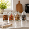 REGENT MINI GLASS CANISTERS ASSORTED DESIGNS 4PK, 300ML
