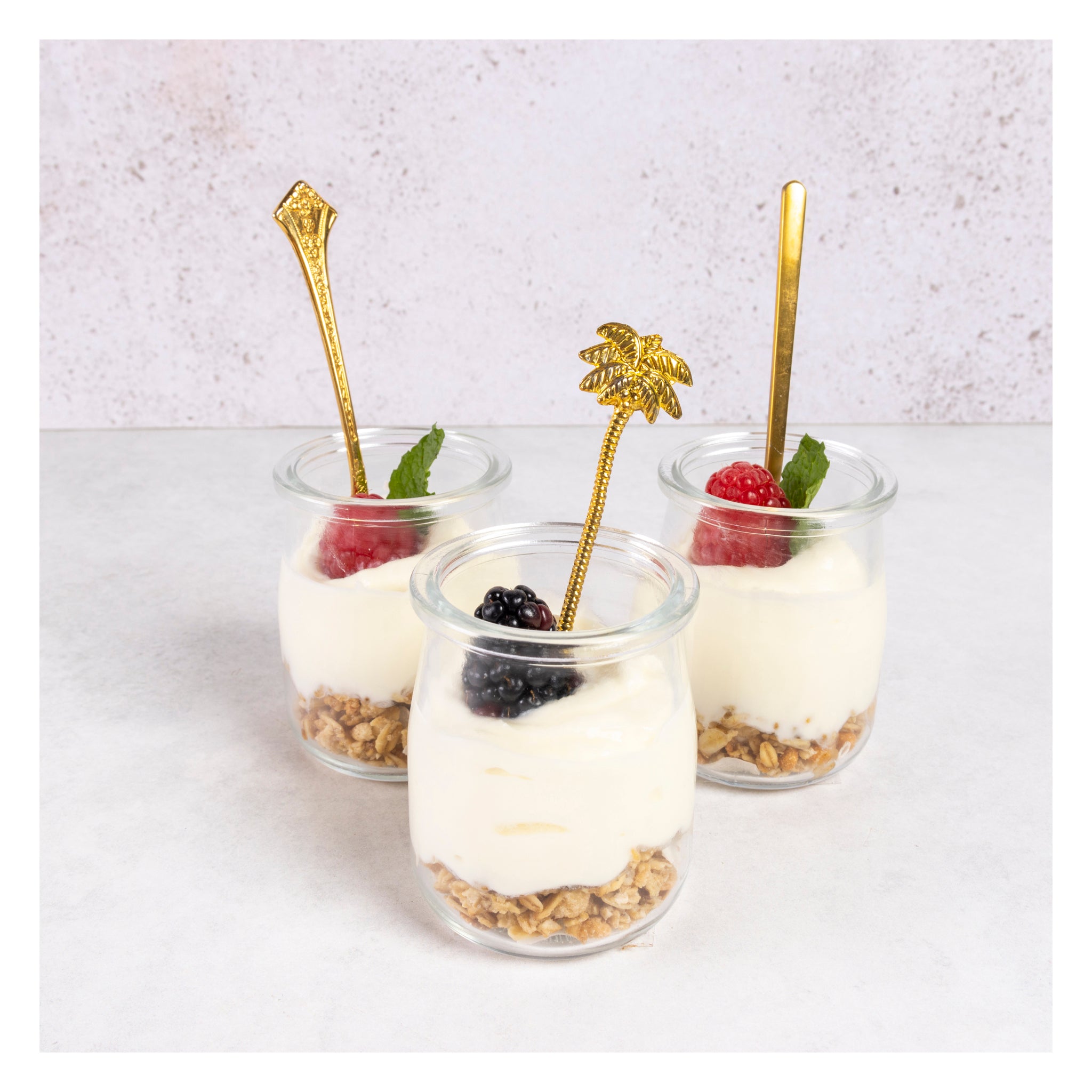 REGENT YOGHURT JARS WITH PLASTIC LIDS 6PK, 150ML