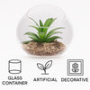 REGENT ARTIFICIAL SUCCULENT IN A CLEAR GLASS SPHERE - LARGE