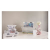 REGENT STOREAWAY PLASTIC CLIP DEEP BOX LARGE, CLEAR & GREY, 355X280X160MM