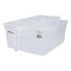 REGENT STOREAWAY CLEAR PLASTIC PANTRY & FRIDGE BASKET WITH DIVIDER, 330X145X65MM