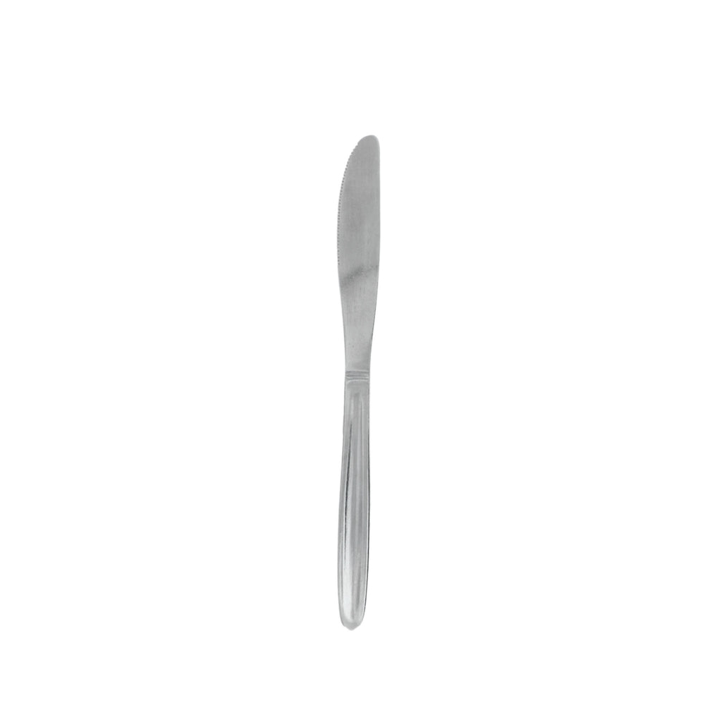 REGENT CUTLERY AUSTWIND (ELOFF) TABLE KNIFE ST STEEL, 1 DOZ